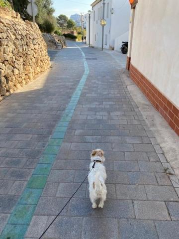 Altea Beachgate - Acceso Privado A La Playa Exteriér fotografie